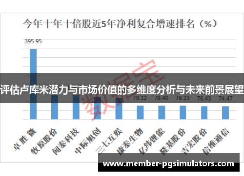 评估卢库米潜力与市场价值的多维度分析与未来前景展望 评估卢库米潜力与市场价值的多维度分析与未来前景展望