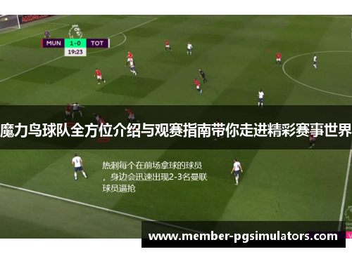 魔力鸟球队全方位介绍与观赛指南带你走进精彩赛事世界